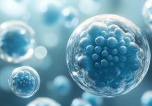 C’est une nouvelle stratégie de restauration de la tolérance immunitaire (Visuel Adobe Stock 1344204594)