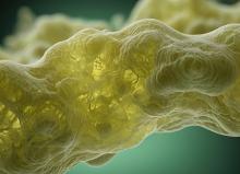 Le mucus contient aussi des molécules, des mucines, qui bloquent l'infection à Salmonella (Visuel Adobe Stock 1678820239) Le mucus contient aussi des molécules, des mucines, qui bloquent l'infection à Salmonella (Visuel Adobe Stock 1678820239)