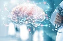 Ce principe « use it or lose it » peut également s’appliquer à la plasticité cérébrale (Visuel Adobe Stock 208730889)