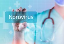 Ce nouveau système permet de préciser les fonctions de gènes spécifiques du norovirus et d'étudier les mécanismes de sa réplication et de sa pathogénicité (Visuel Adobe Stock 531961521). 