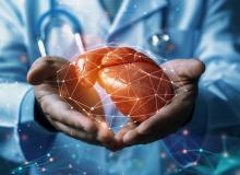 L'étude un dysfonctionnement hépatique généralisé chez les personnes atteintes du syndrome de Down (ou trisomie 21) (Visuel Adobe Stock 794933378) L'étude un dysfonctionnement hépatique généralisé chez les personnes atteintes du syndrome de Down (ou trisomie 21) (Visuel Adobe Stock 794933378)