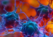 Les tumeurs cérébrales détournent le métabolisme du sucre pour échapper à la réponse immunitaire (Visuel Adobe Stock 856475313)