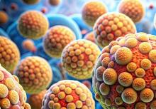 Comment le tissu adipeux brun régule la pression artérielle, ou comment sa « perte » induit progressivement une rigidité et une hypertension artérielle (HTA) (Visuel Adobe Stock 905895075)